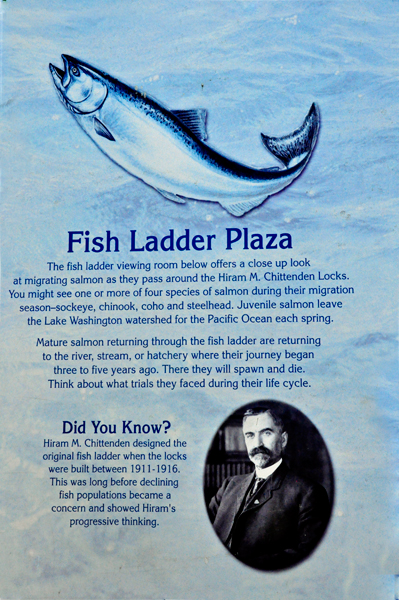 sign: Fish Ladder Plaza